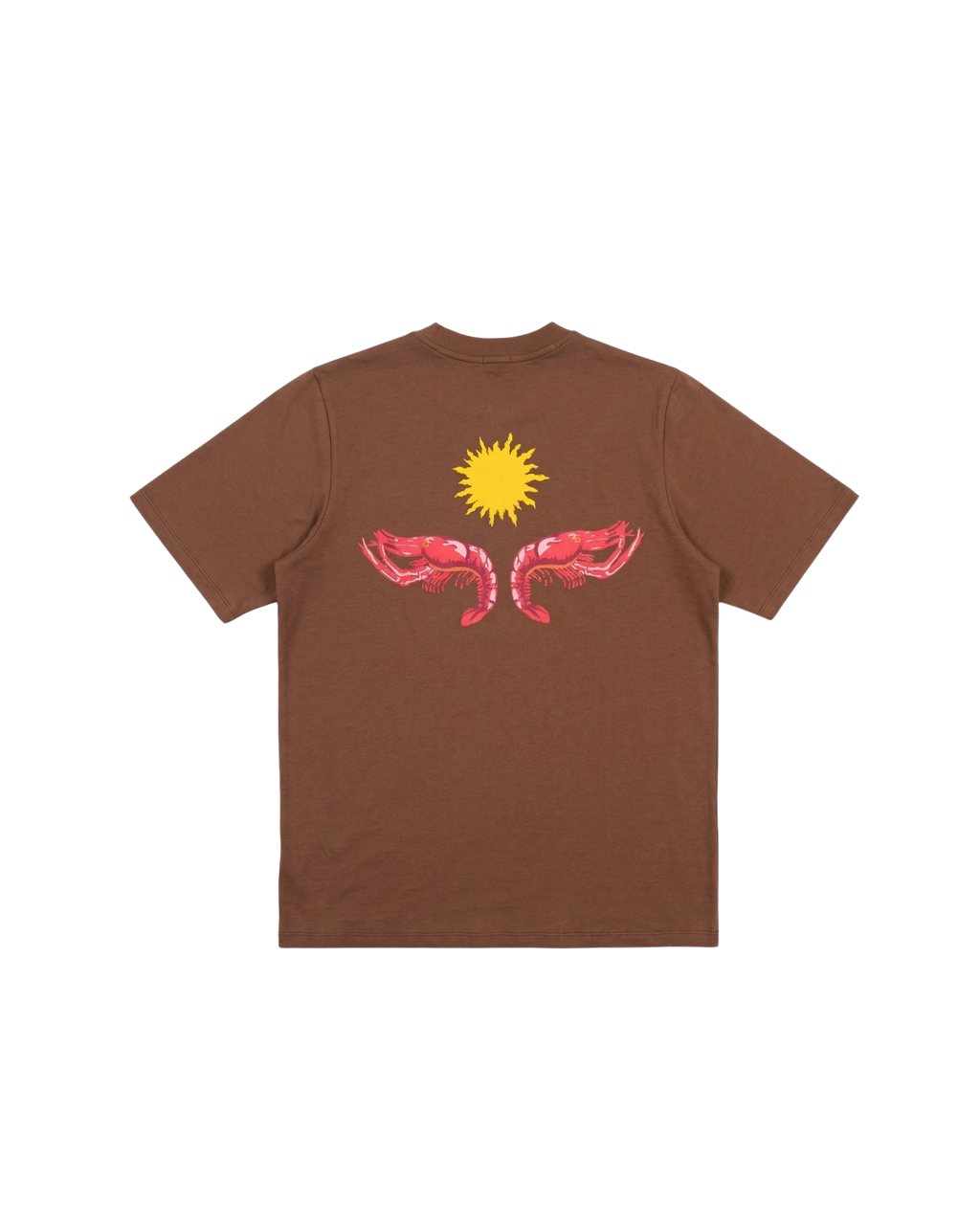 Camiseta marrom Nordesphyna
