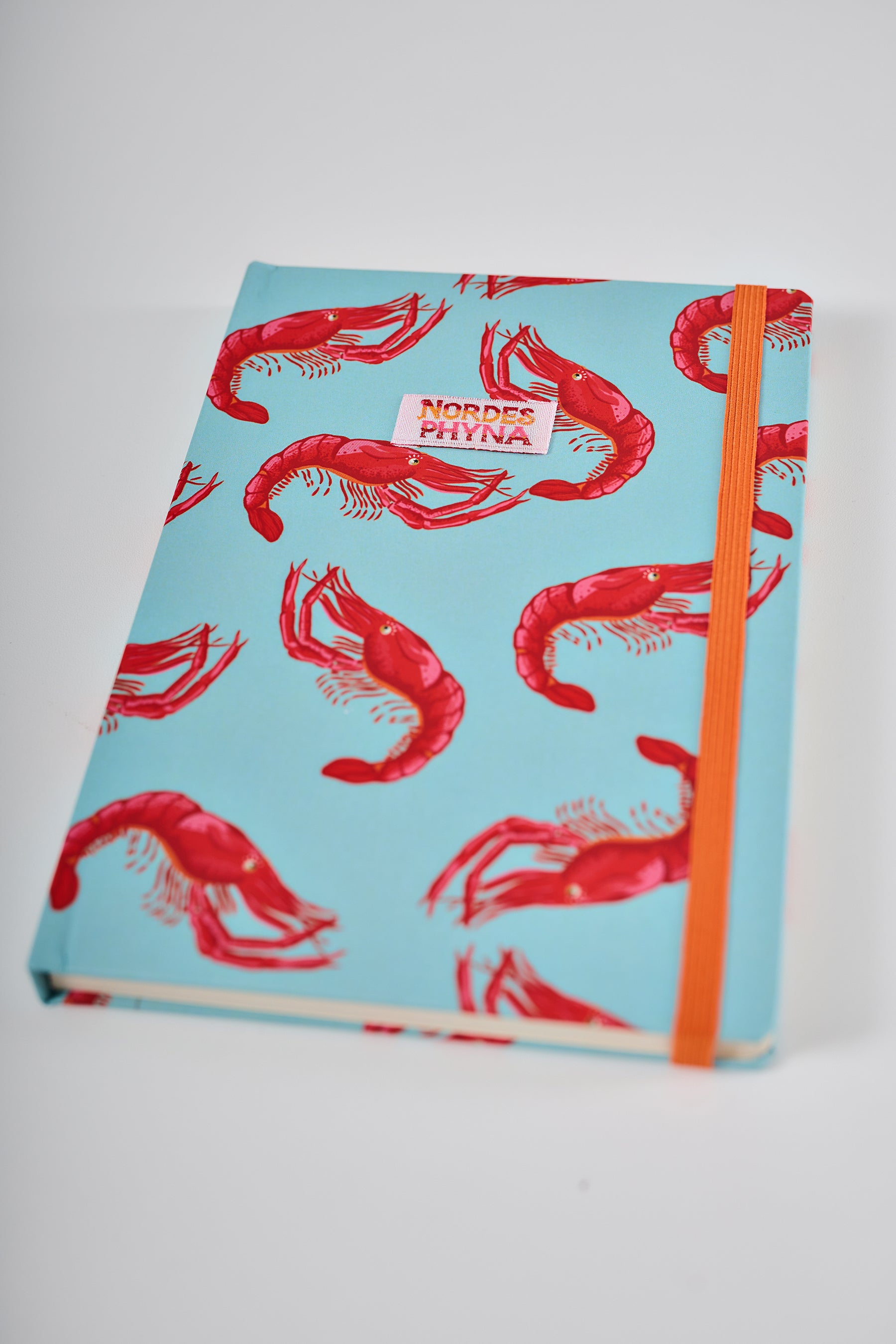 Caderno Nordesphyna pitú azul