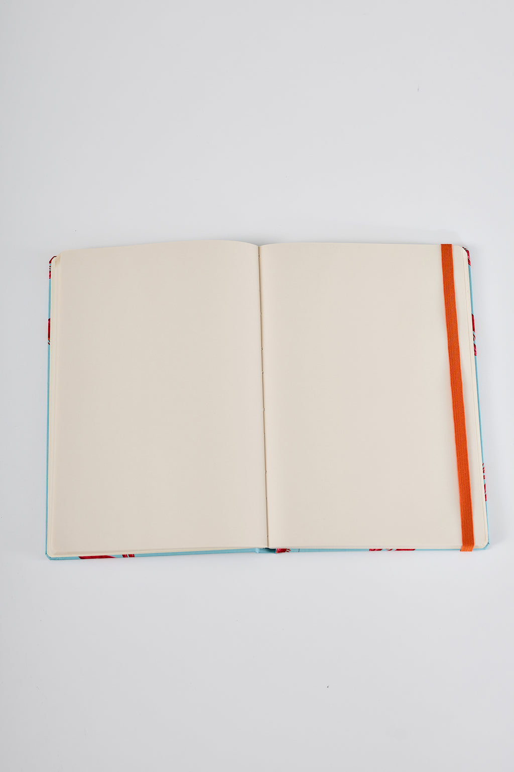 Caderno Nordesphyna pitú azul