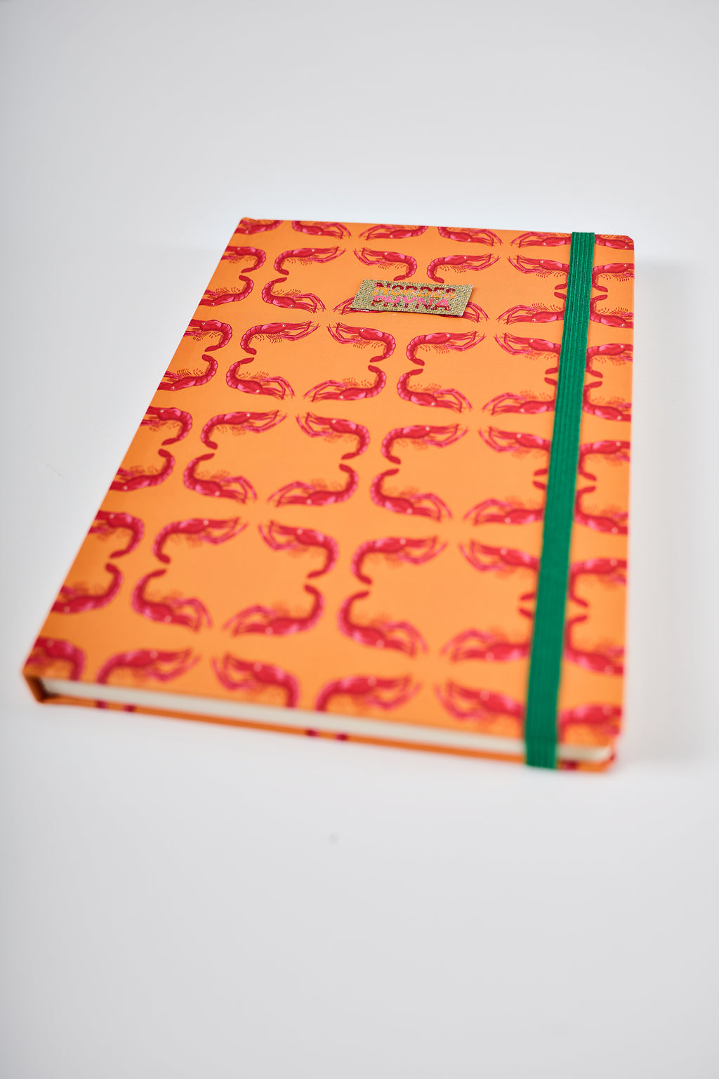 Caderno Nordesphyna pitú laranja