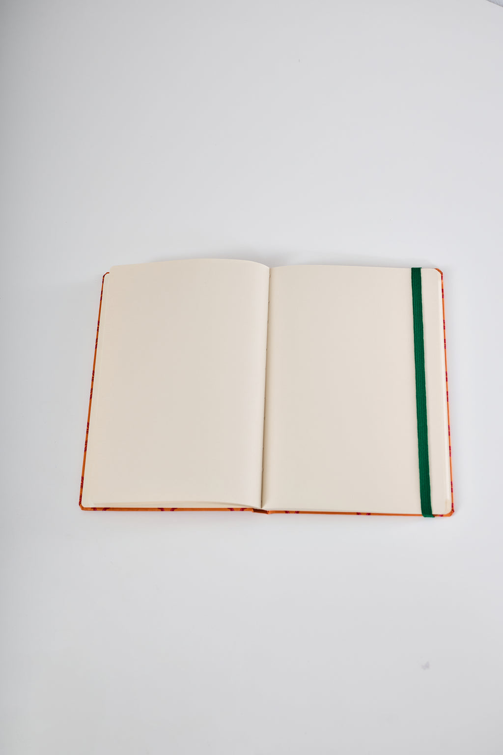 Caderno Nordesphyna pitú laranja