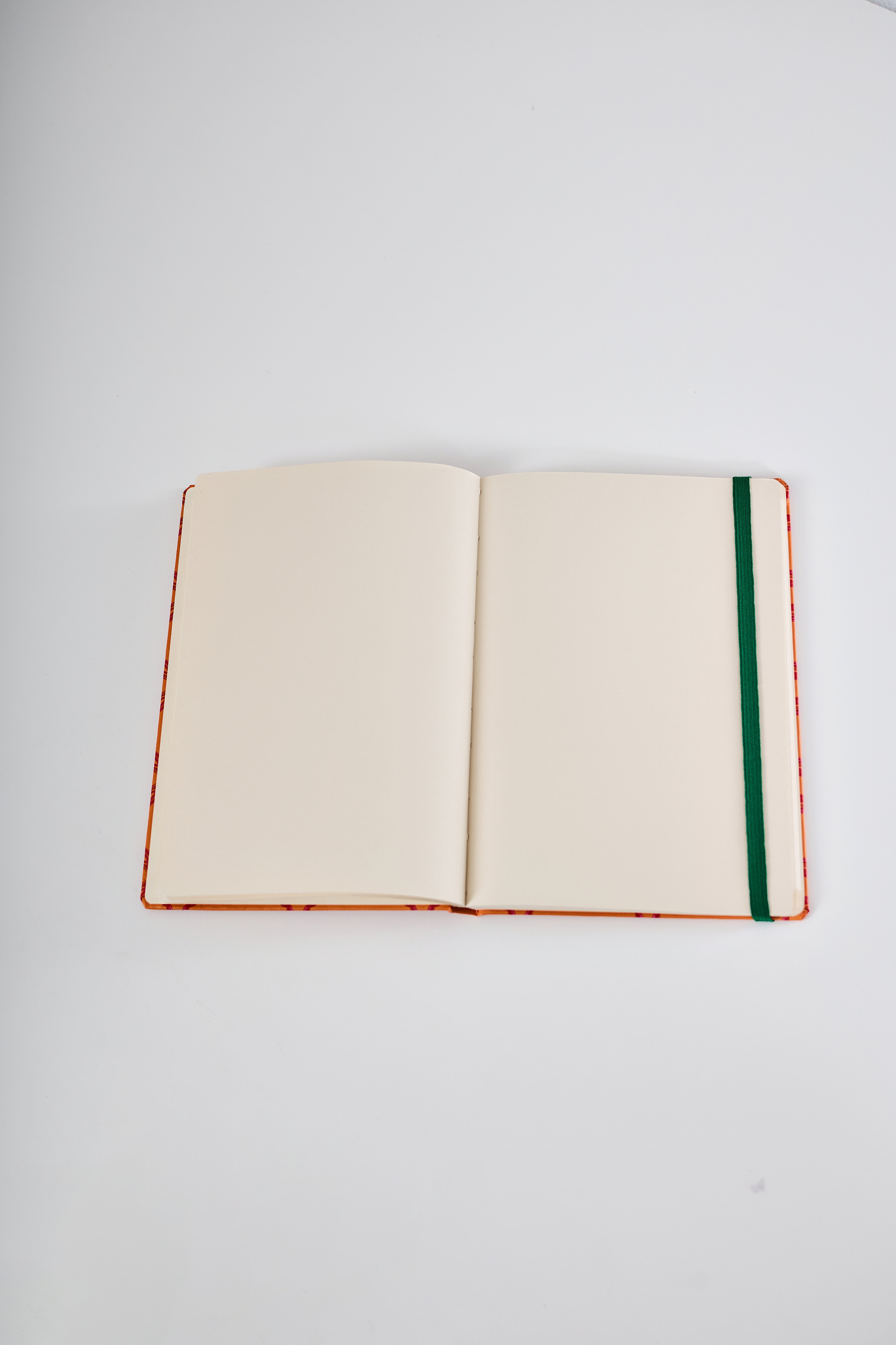 Caderno Nordesphyna pitú laranja