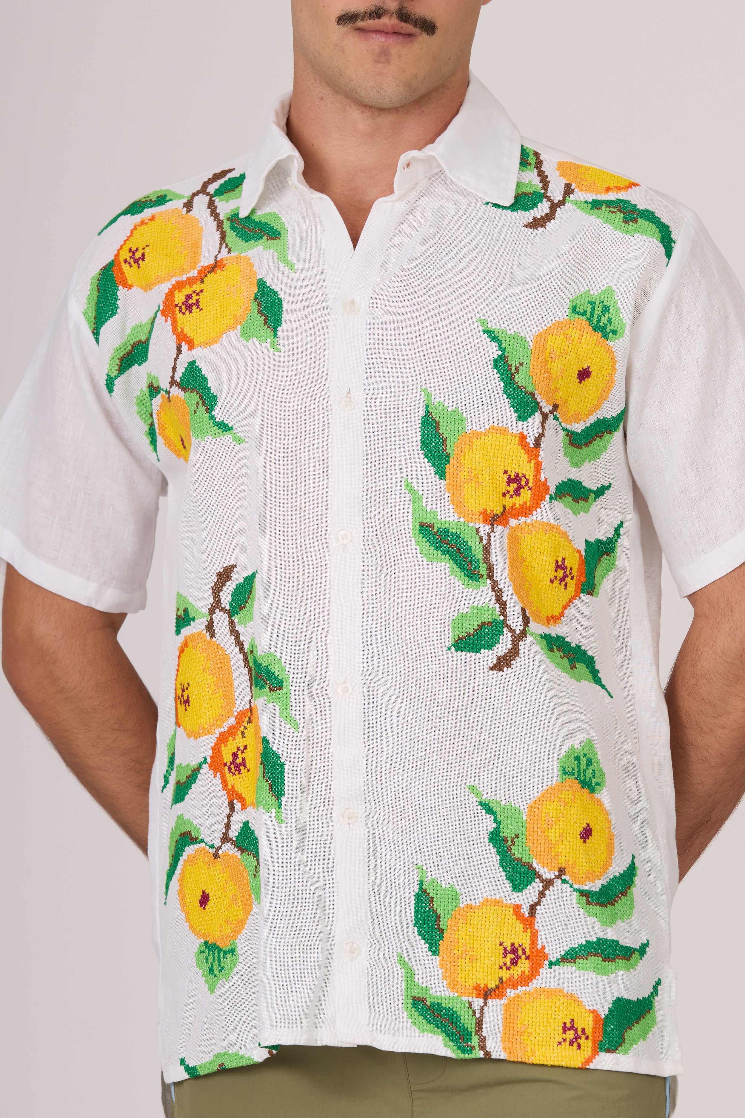 Camisa entre artes